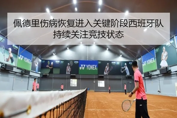 佩德里伤病恢复进入关键阶段西班牙队持续关注竞技状态
